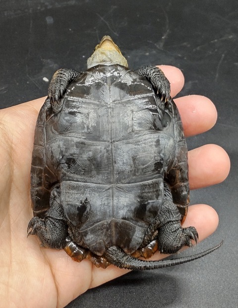 Polish_20231122_164629485