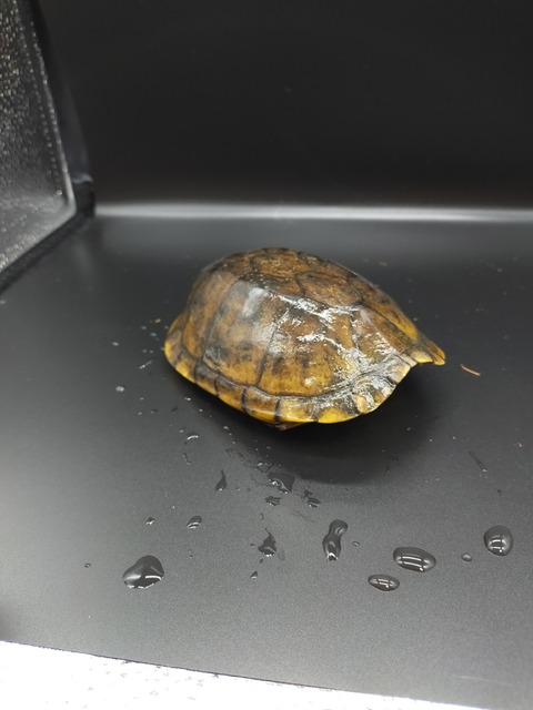 IMG20220627141951