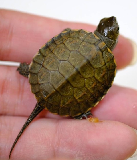 Polish_20231002_174356971