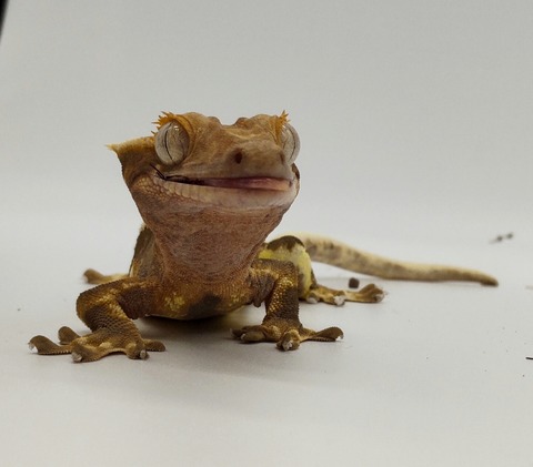 Polish_20240428_190049431