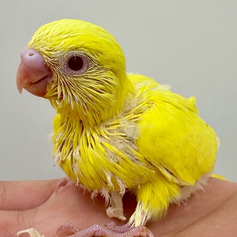 C6AEAA1A-6D2D-4DD4-B1B9-080F5CC59C5F