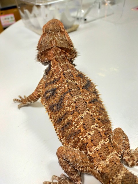 IMG20220127122845