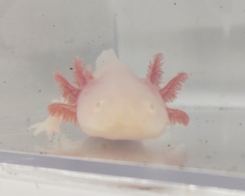 Polish_20240522_173031488