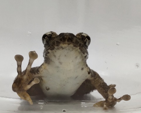 Polish_20240624_161401676