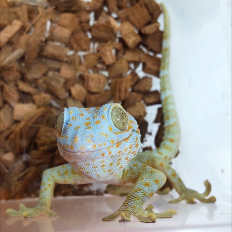 Polish_20241006_182216041