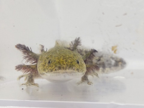 Polish_20240522_172921916