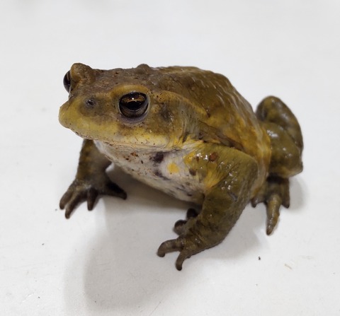 Polish_20240214_144855020