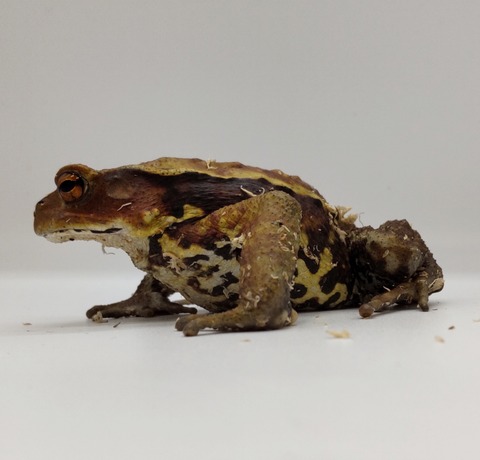 Polish_20240522_171912364