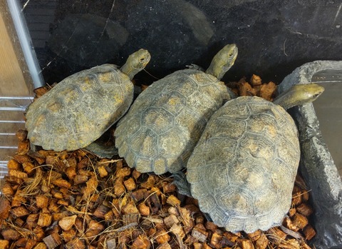 Polish_20231213_161031578