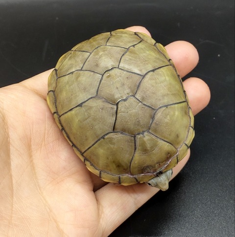 Polish_20230419_153031444