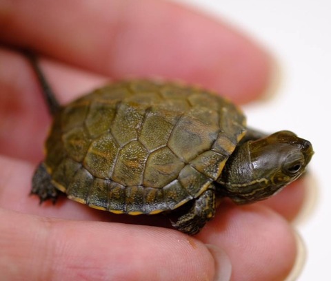 Polish_20231002_174332177