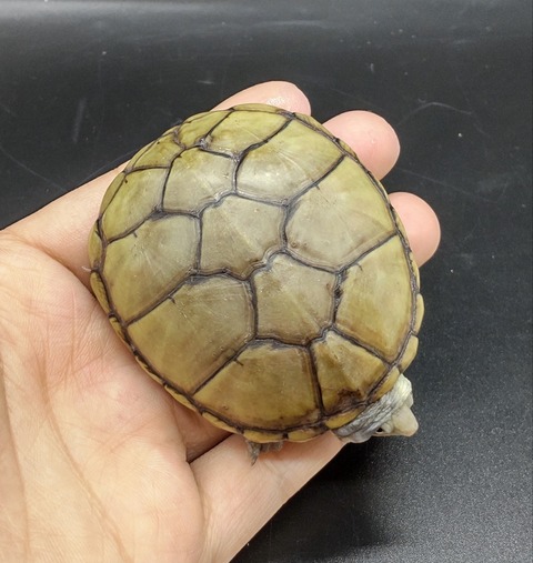 Polish_20230419_153157901