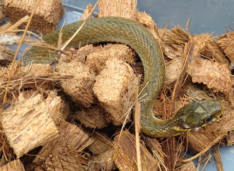 Polish_20240122_182634699