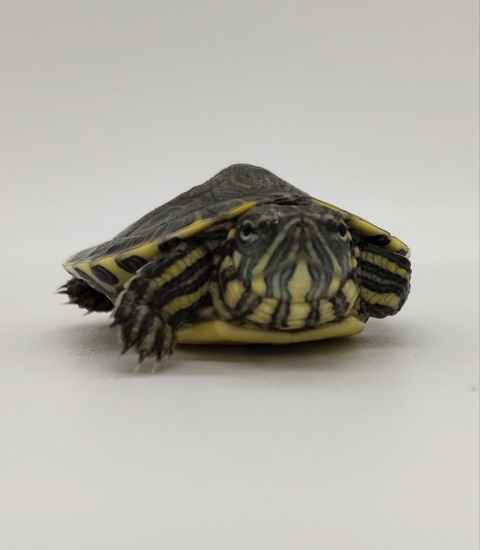 Polish_20240812_185539580