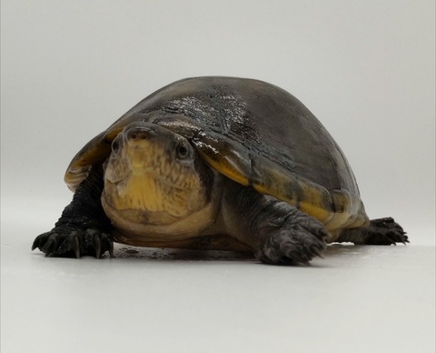 Polish_20240917_155636570