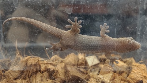 Polish_20231213_160228219