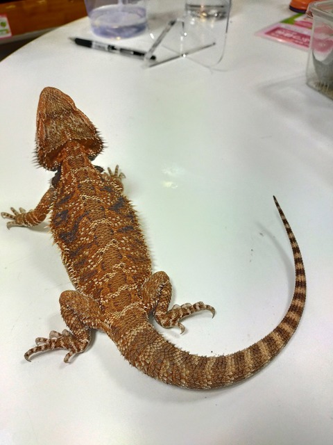 IMG20220127122945