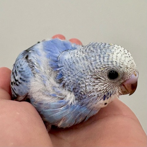 41D5BBD1-6C0F-4B06-A942-8E9F8B036F64