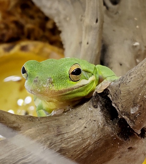 Polish_20240624_160756010