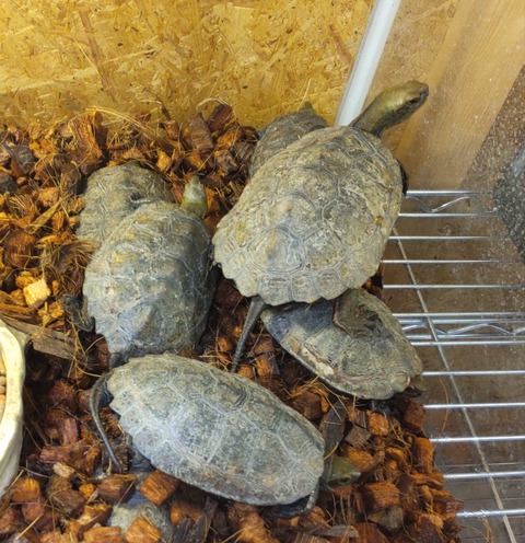 Polish_20231213_160947728