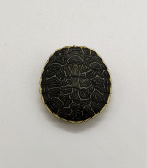 Polish_20240812_190424341