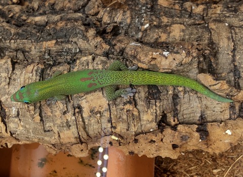 Polish_20231122_163540604