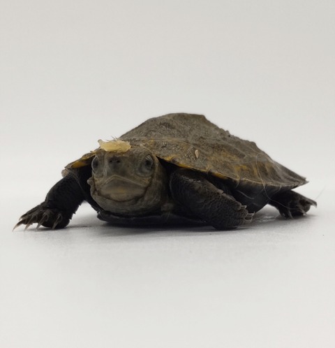 Polish_20240903_155820108