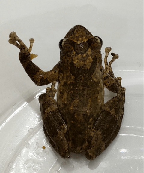 Polish_20240624_161445644