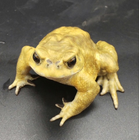 Polish_20231122_165219914