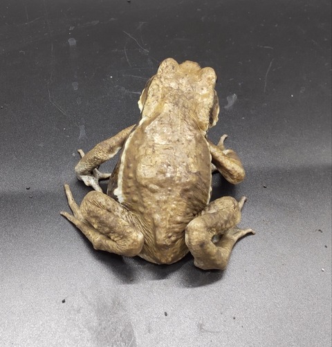 Polish_20231017_155233436