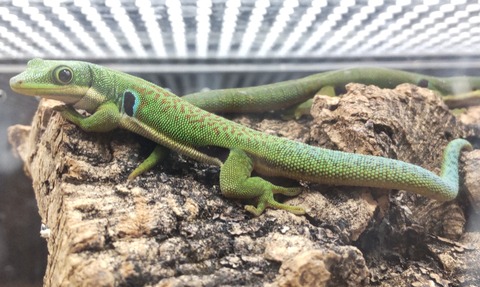 Polish_20231122_155647626