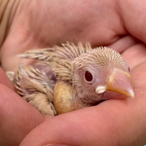 3300548C-9932-411B-B642-64D80AA600AE