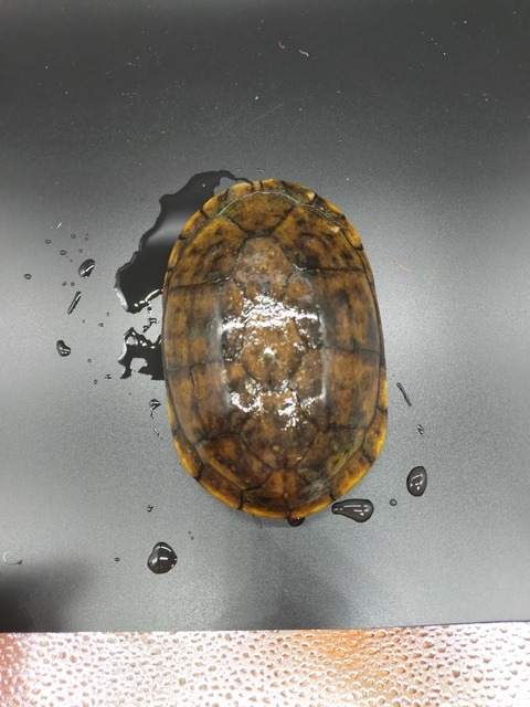 IMG20220627141909