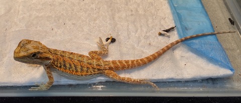 Polish_20231213_155901150