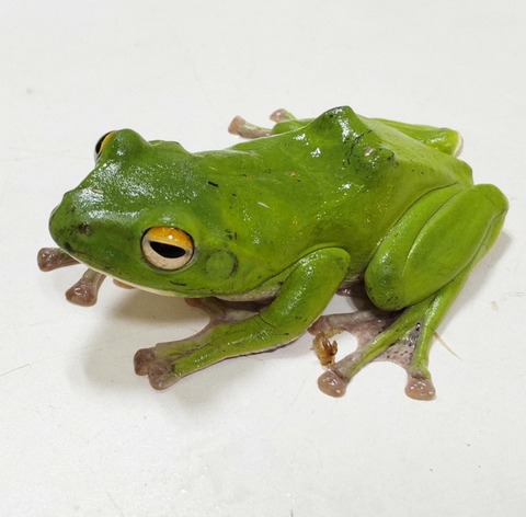 Polish_20240214_144826398