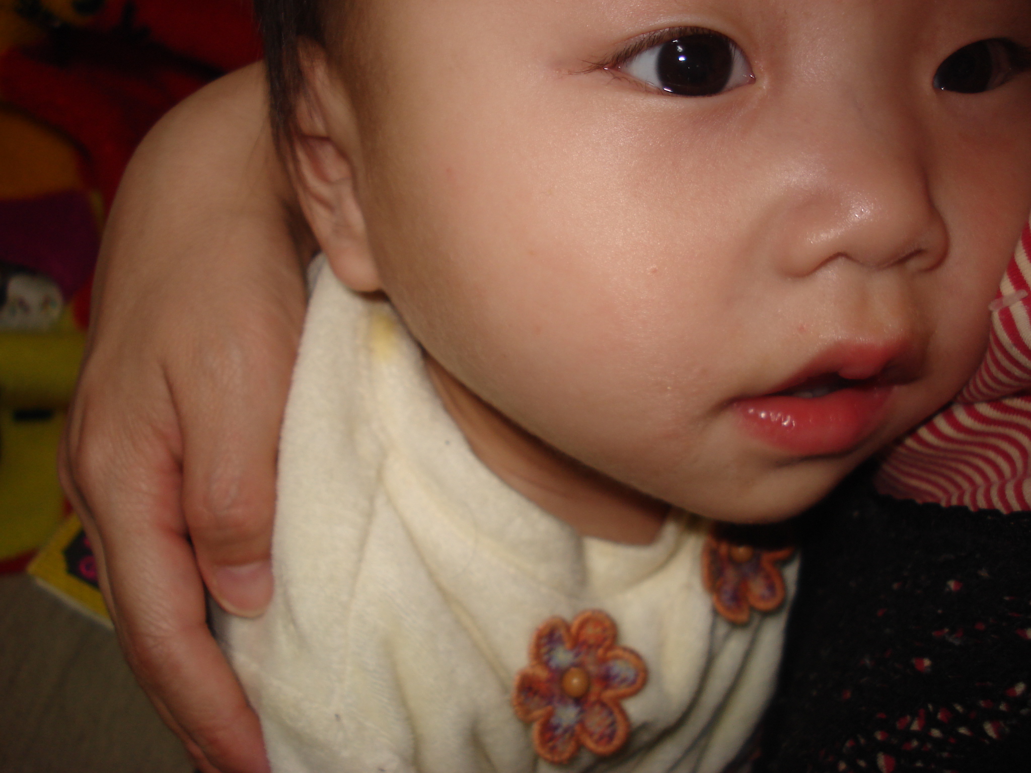 爽やかさわちゃん 08年06月