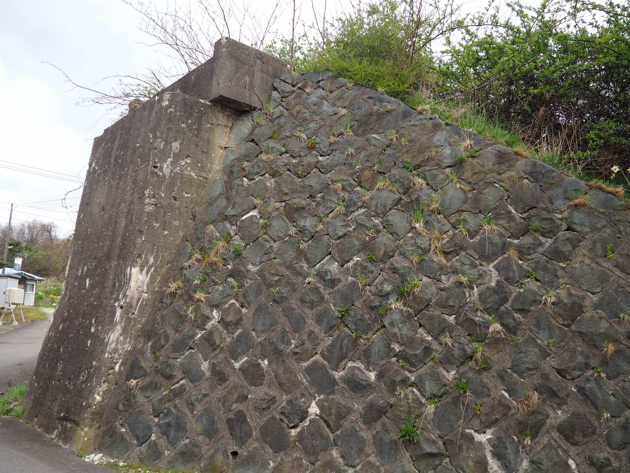 のこビルマ戦線　わだちの跡 Amazon.co.jp: 二輪会編ビルマ戦線 わだちの跡 第二野戦輸送隊