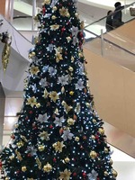 IMG_6120