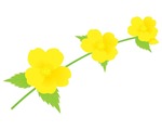 山吹