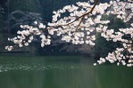 鎌北湖写真