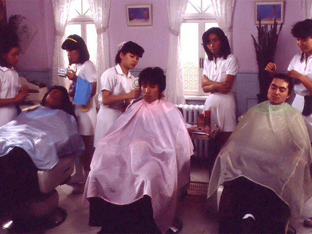 ピンクカット太く愛して深く愛して』＆『家族ゲーム』の映画史的意味に