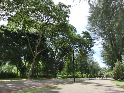 CIMG1412
