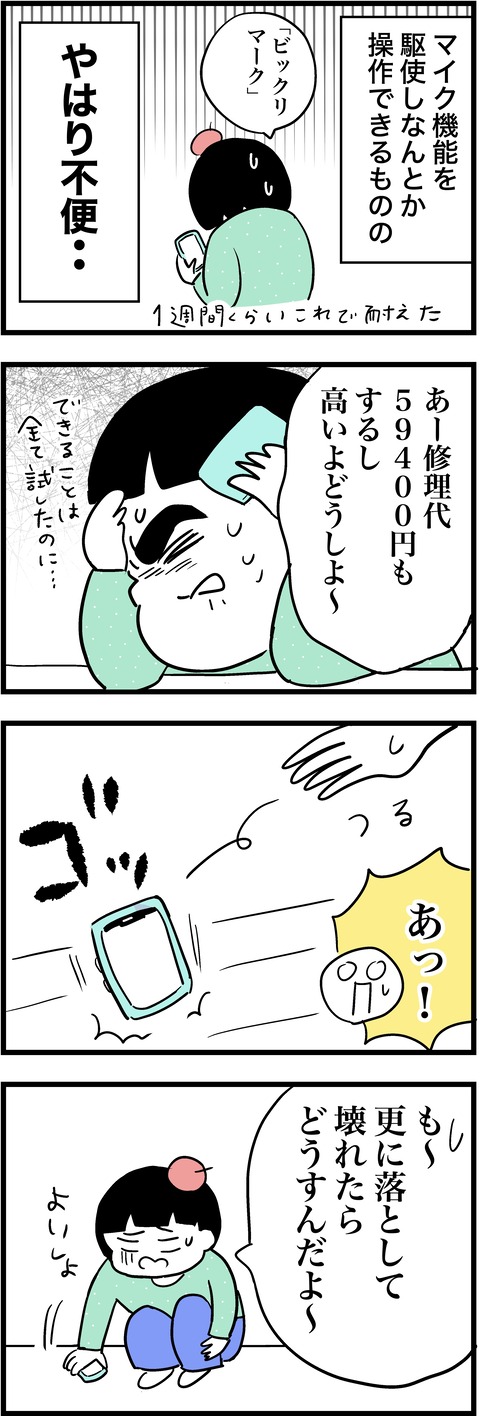 iPhone 2