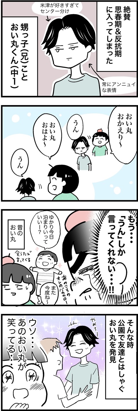 おい丸