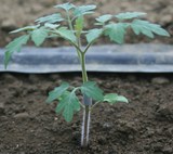 �ߥ˥ȥޥȤ���