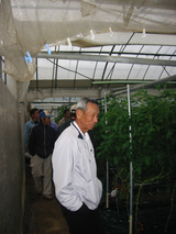 現地検討会