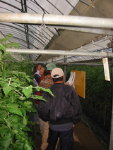 現地検討会