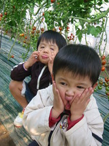 ��������ʴ���