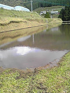 ae1a7f07.JPG