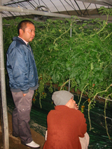現地検討会